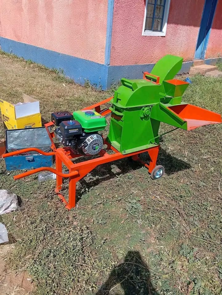 Diesel Feed Chopper 10HP
